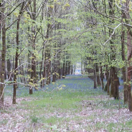 La Fermette De L'yeres * Aubermesnil-Beaumais